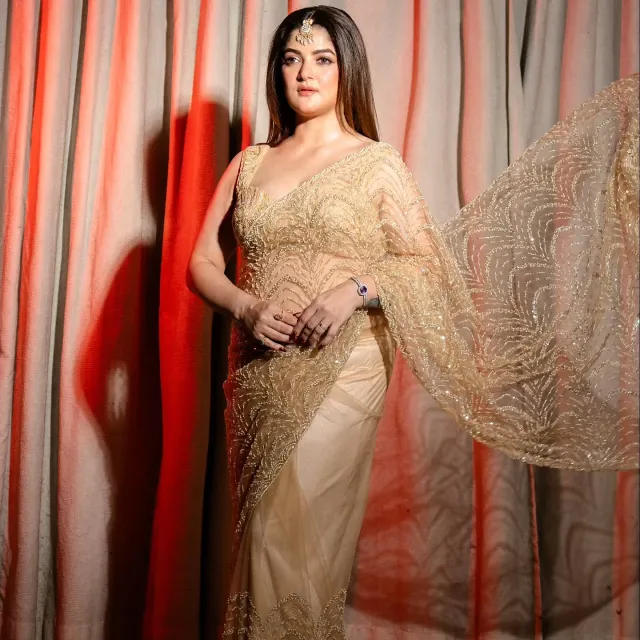 সোনালি শিয়ার ফেব্রিকের শাড়িতে শ্রাবন্তীর জমকালো কারুকাজ।