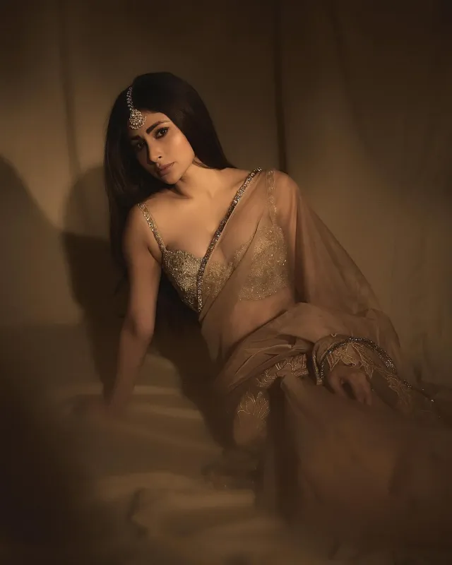কপার গোল্ড শিয়ার শাড়ি এবং জমকালো ডিপনেক ব্রালেটে এই এথনিক লুকে মৌনী।