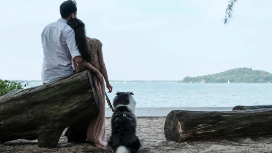 জন্মহার বাড়াতে সিঙ্গাপুরে সরকারি কর্মীদের জন্য চালু হলো 'ফার্স্টডেট'