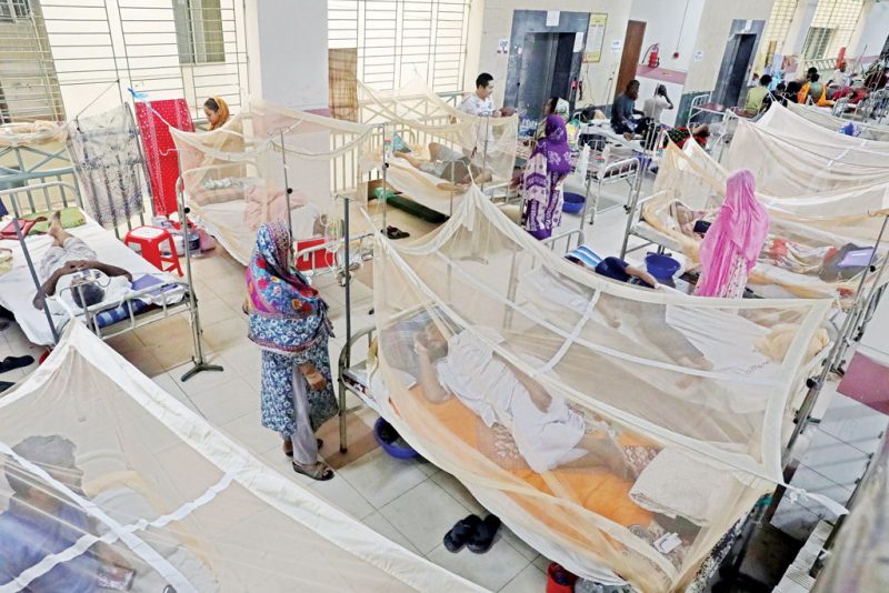 ডেঙ্গু: ২৪ ঘণ্টায় আরও ৫ জনের মৃত্যু, নতুন রোগী ১ হাজার ৮৭২ জন