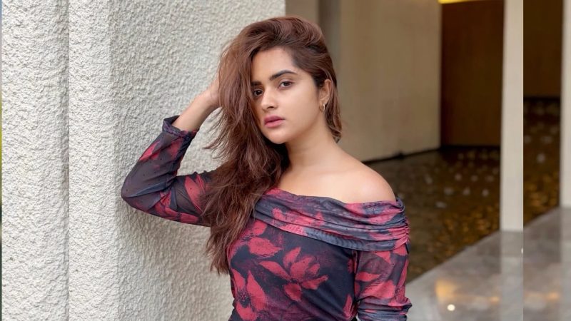 কেয়া পায়েল বিয়ে নিয়ে নিজের দৃষ্টিভঙ্গি জানালেন