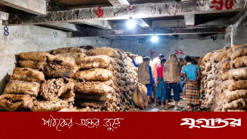 মাদারীপুরে হিমাগারে পচে নষ্ট প্রায় ৩০ হাজার মণ আলু, কোটি টাকার ক্ষতি