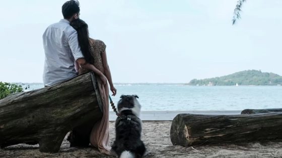 জন্মহার বাড়াতে সিঙ্গাপুরে সরকারি কর্মীদের জন্য চালু হলো 'ফার্স্টডেট'